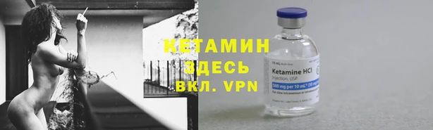 стафф Новозыбков