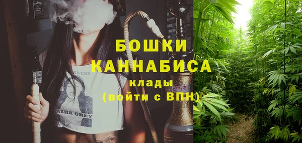 стафф Новозыбков