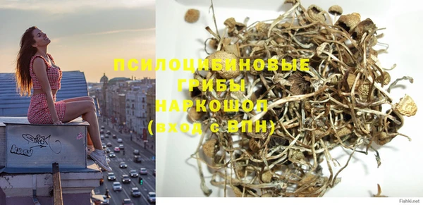 гашиш Новокубанск